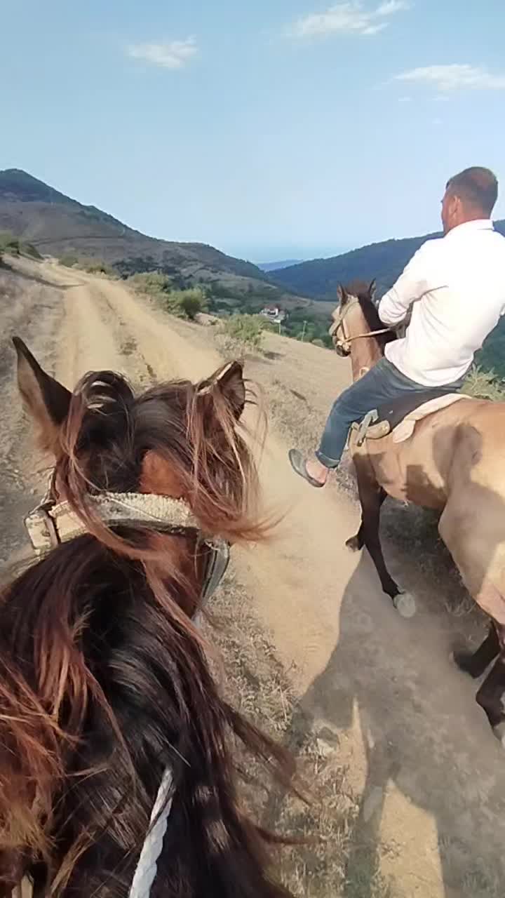 @Elgün Əlizadə