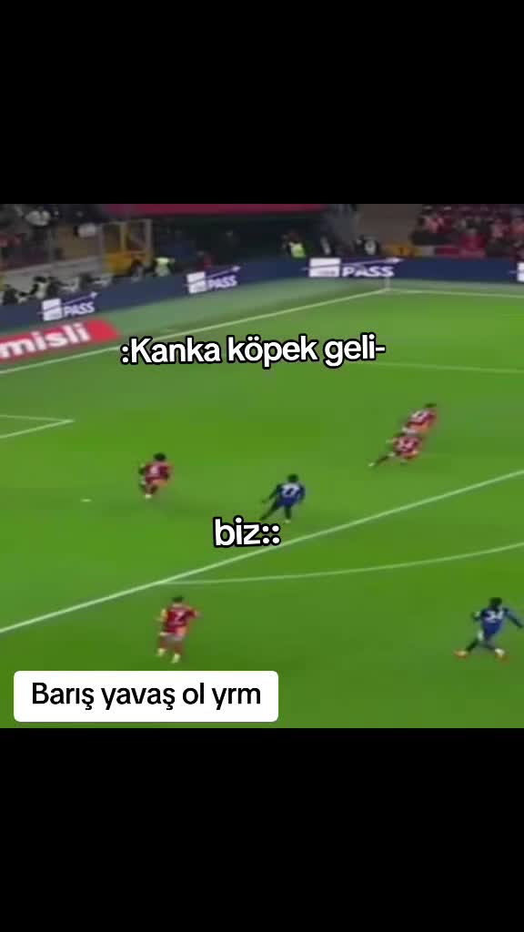 @ðð®ððð¬ððšð«ð«ðð¢ð«ð³âŽ