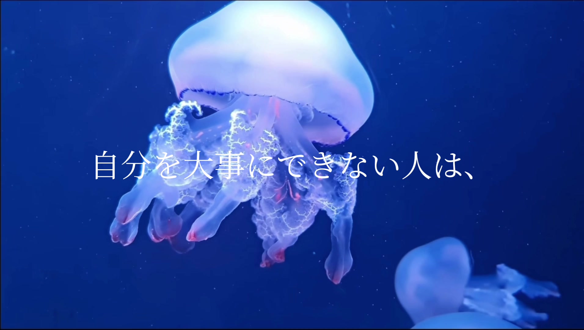 @ふぶき