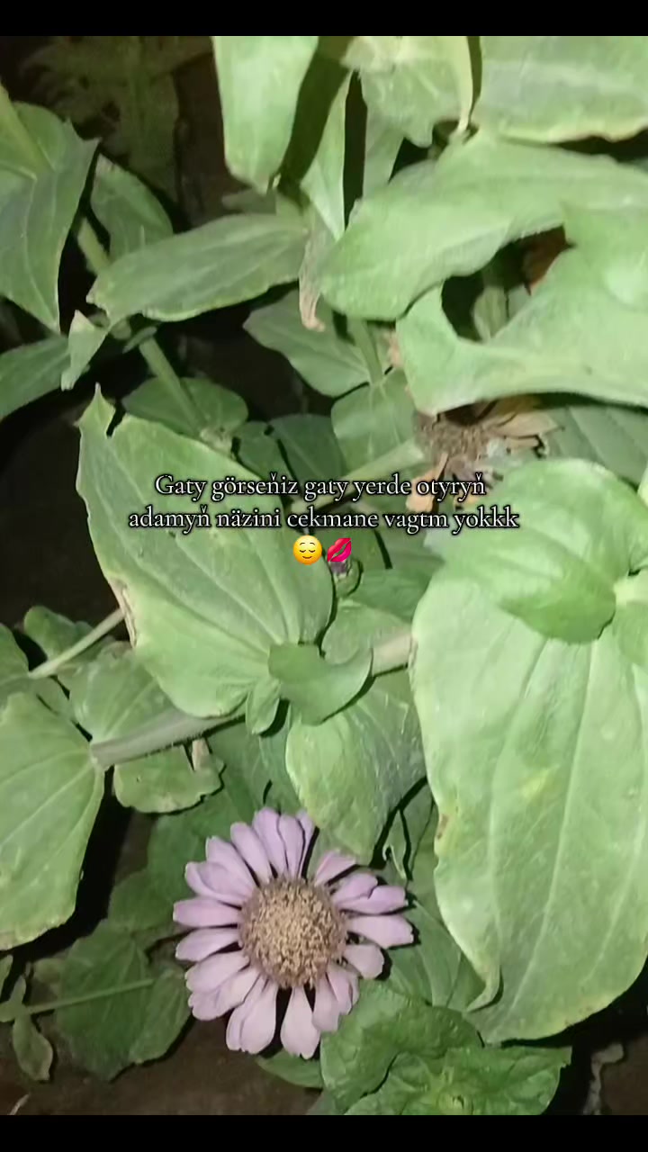@๐๐ท๐ฎ๐ณ๐ช๐ท.๐