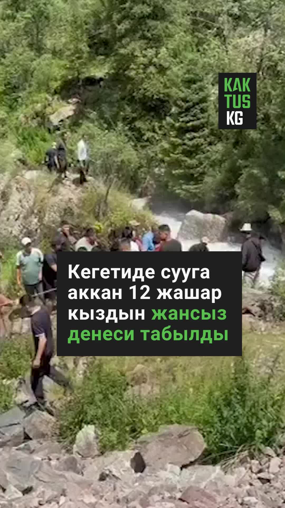 @Kaktus KG