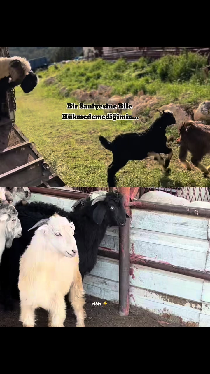 @Mehmet ÜNAL