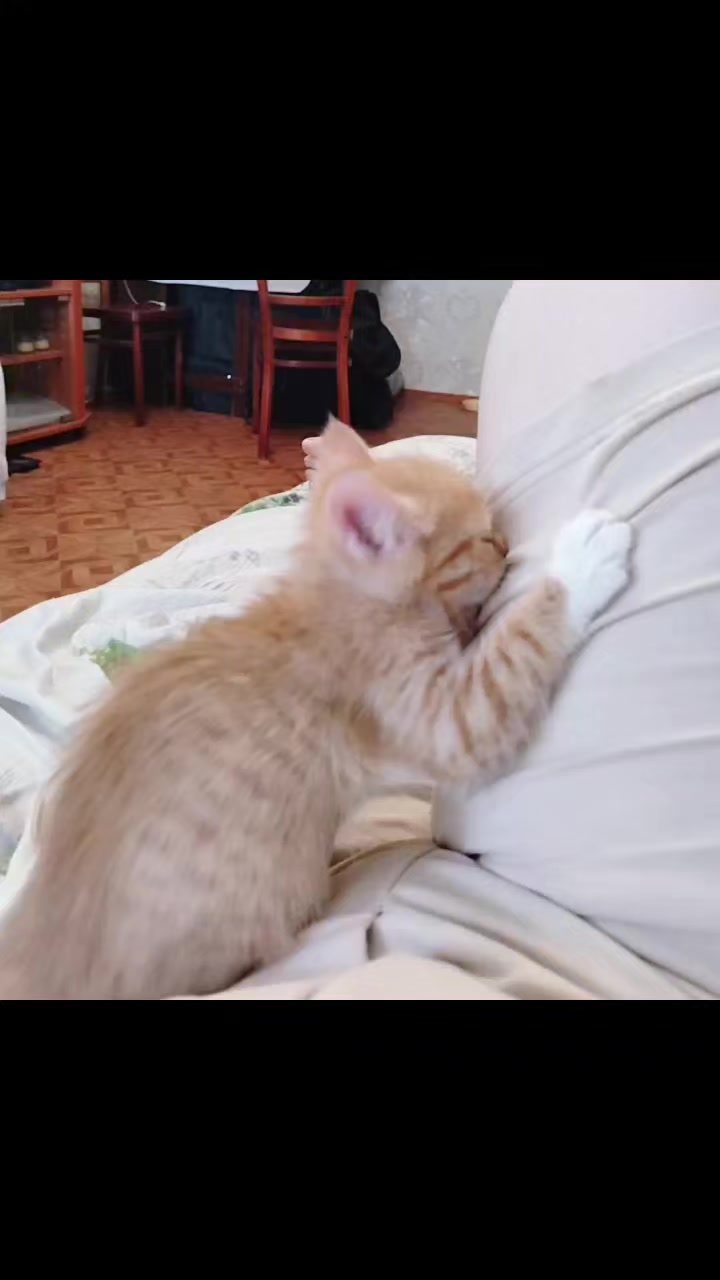 @𝐋𝐚𝐝𝐲✯𝐌𝐢𝐥𝐥𝐞𝐫