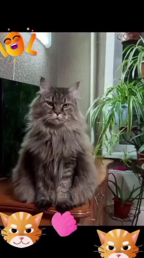 @irina_das