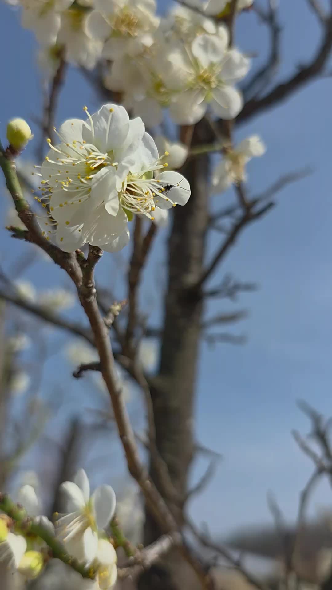 @이소희(오산)