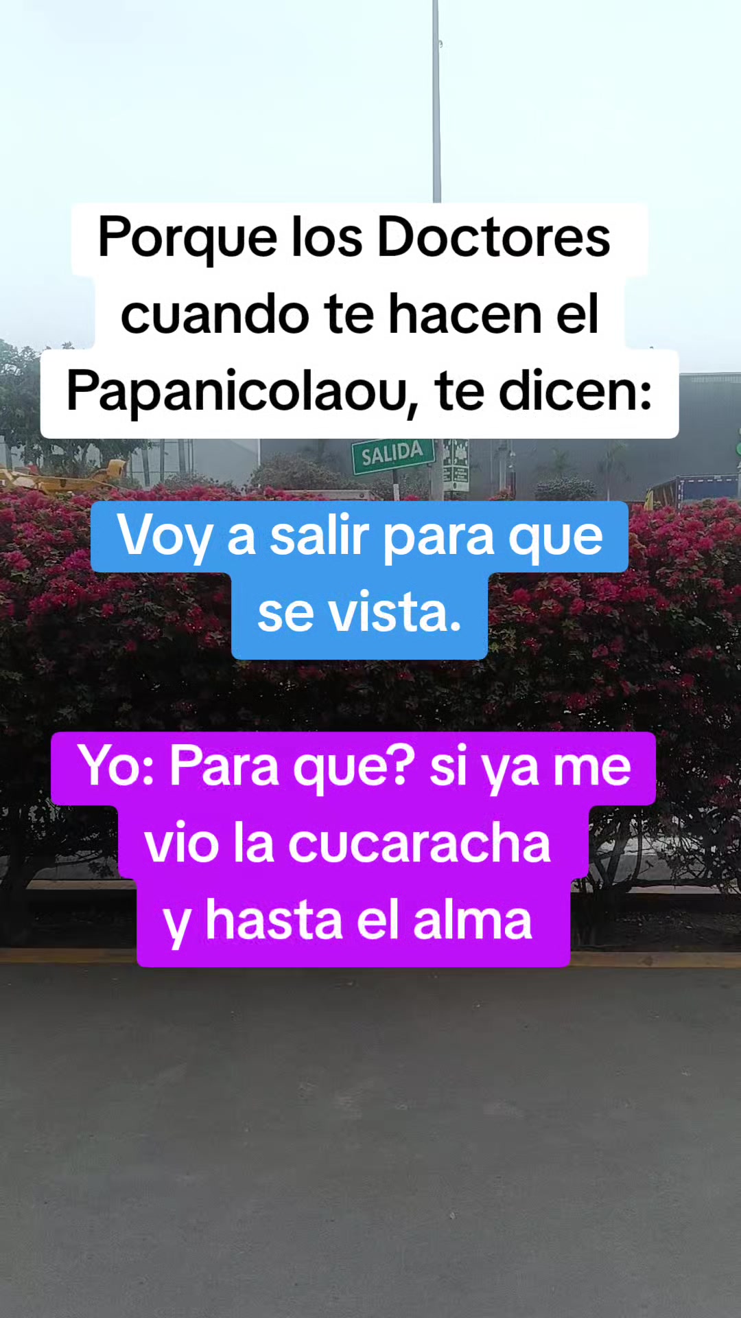 @𝓕𝓮𝓵𝓲𝓬𝓱𝓸 :p