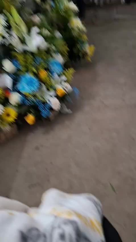 @Darling7