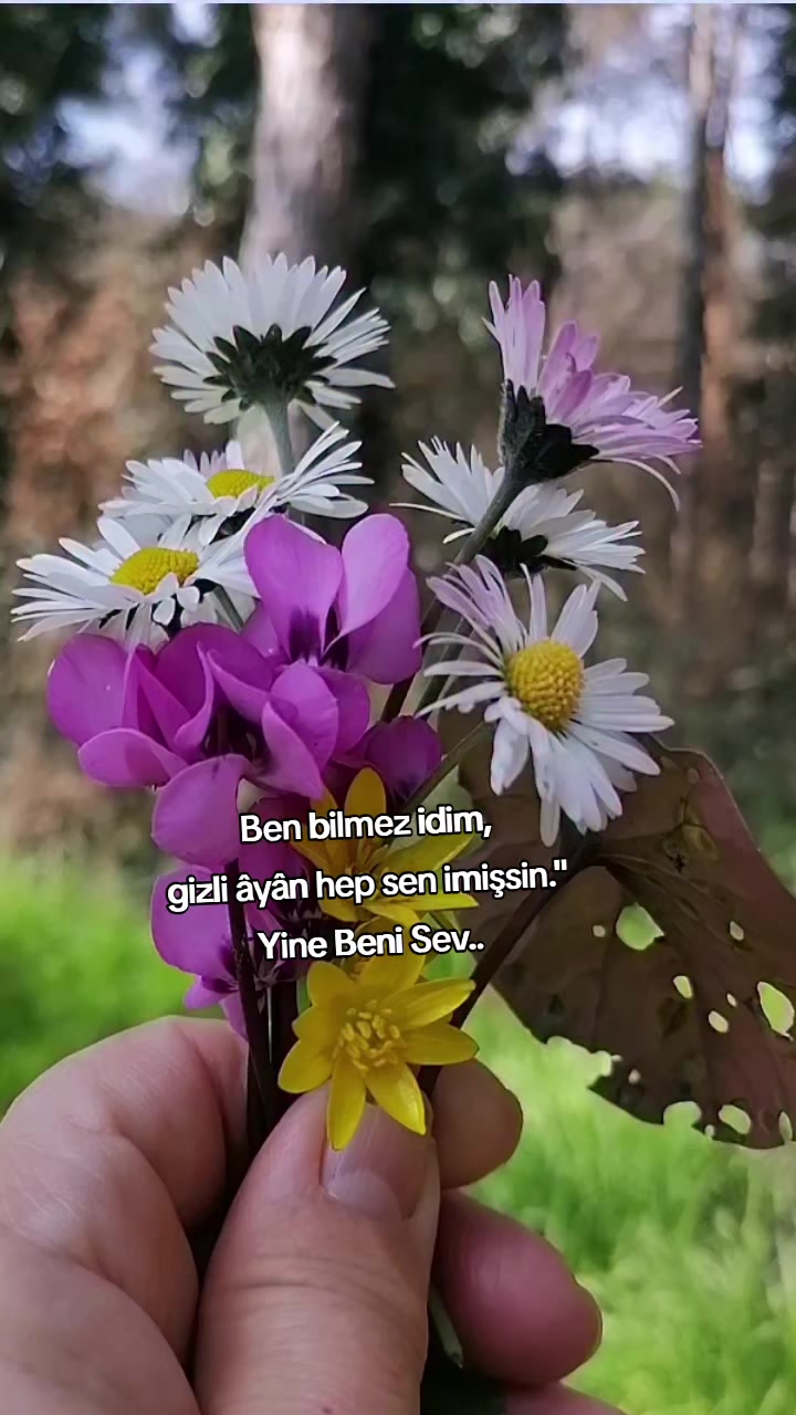 @kyplrdym