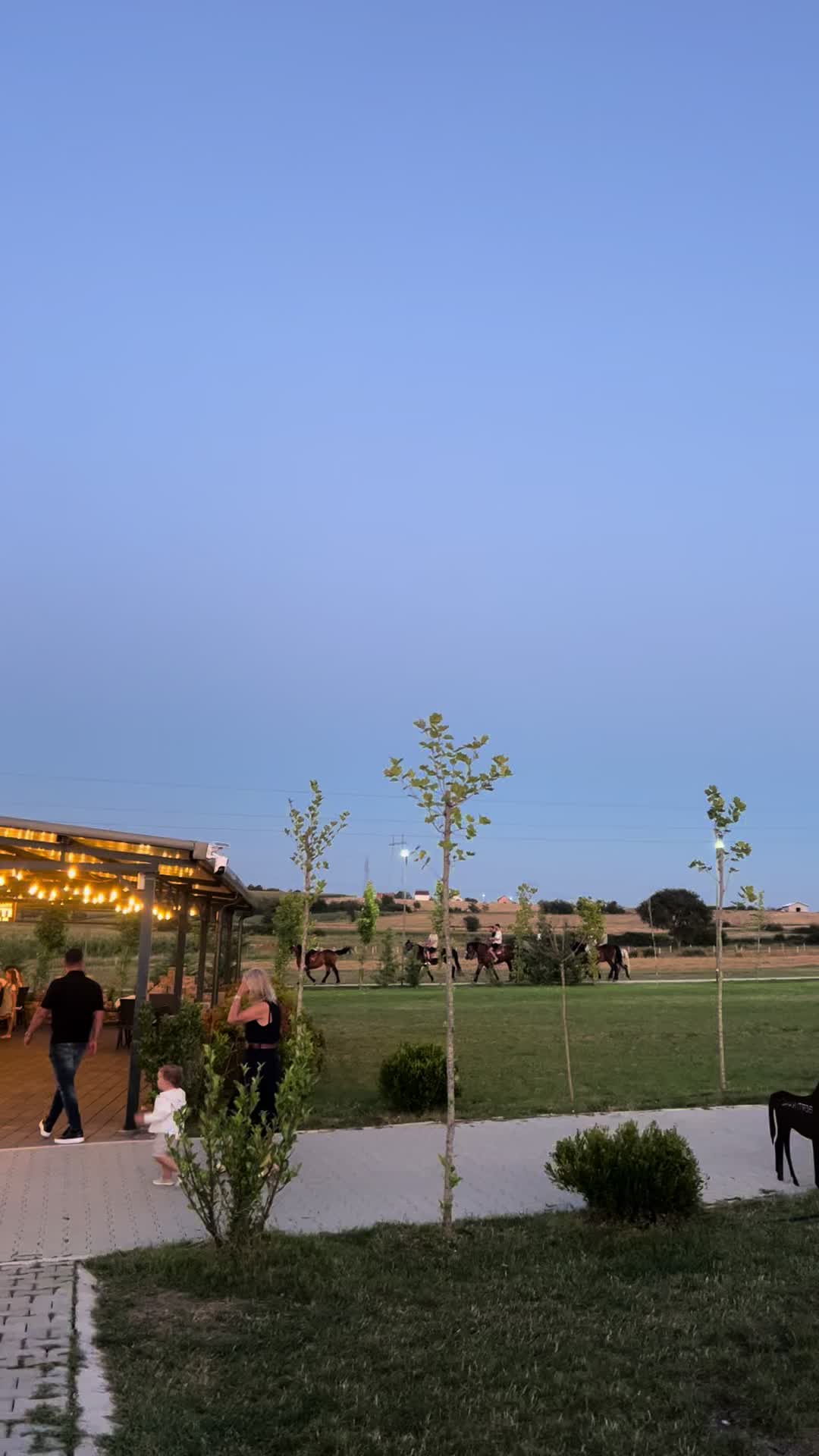 @BERTI RANCH 🐎