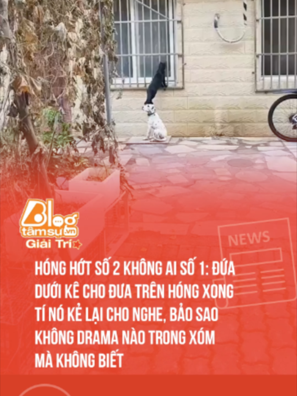 @Blog T&acirc;m Sự Giải Tr&iacute;