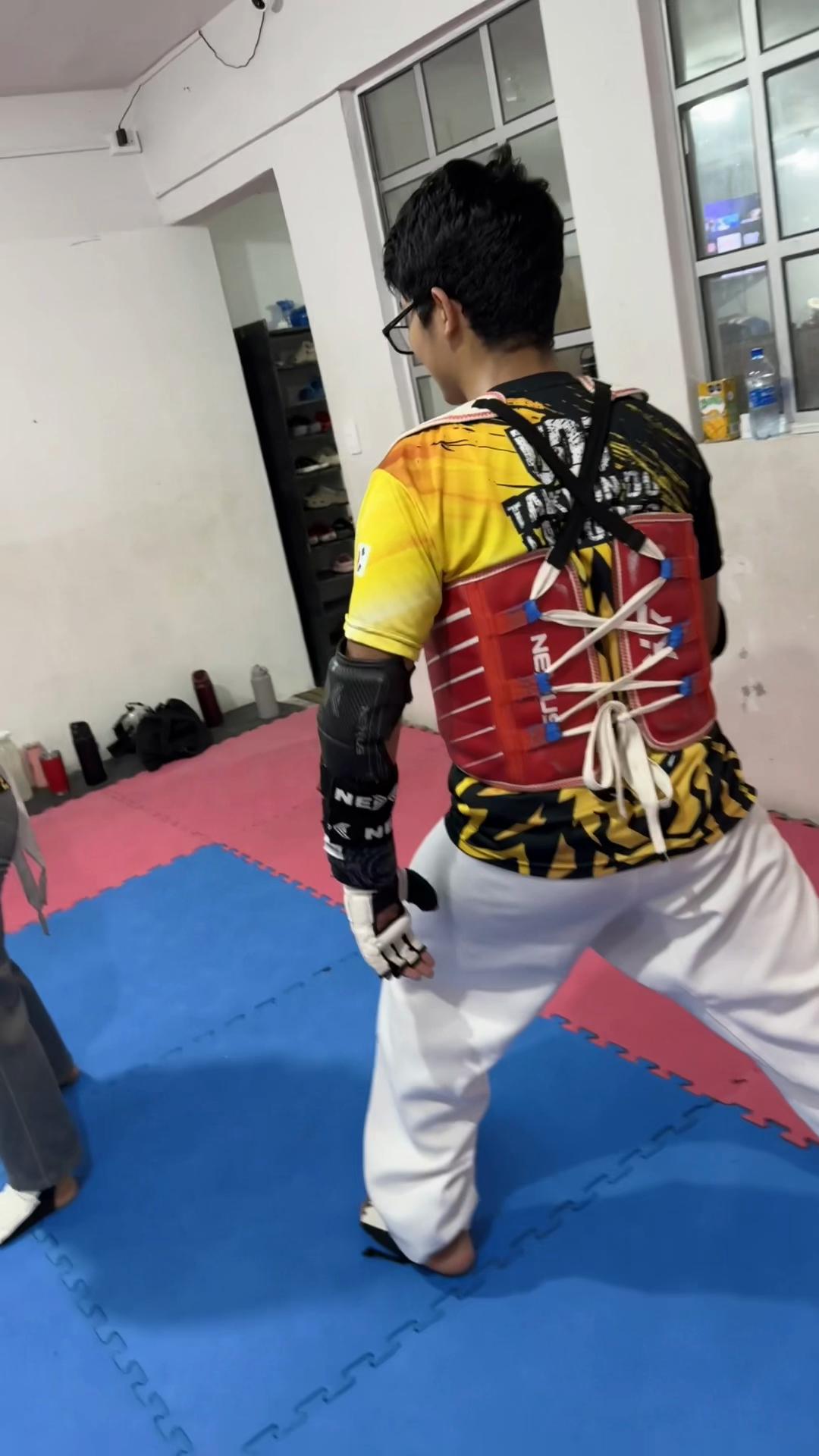 @taekwondolionsteam