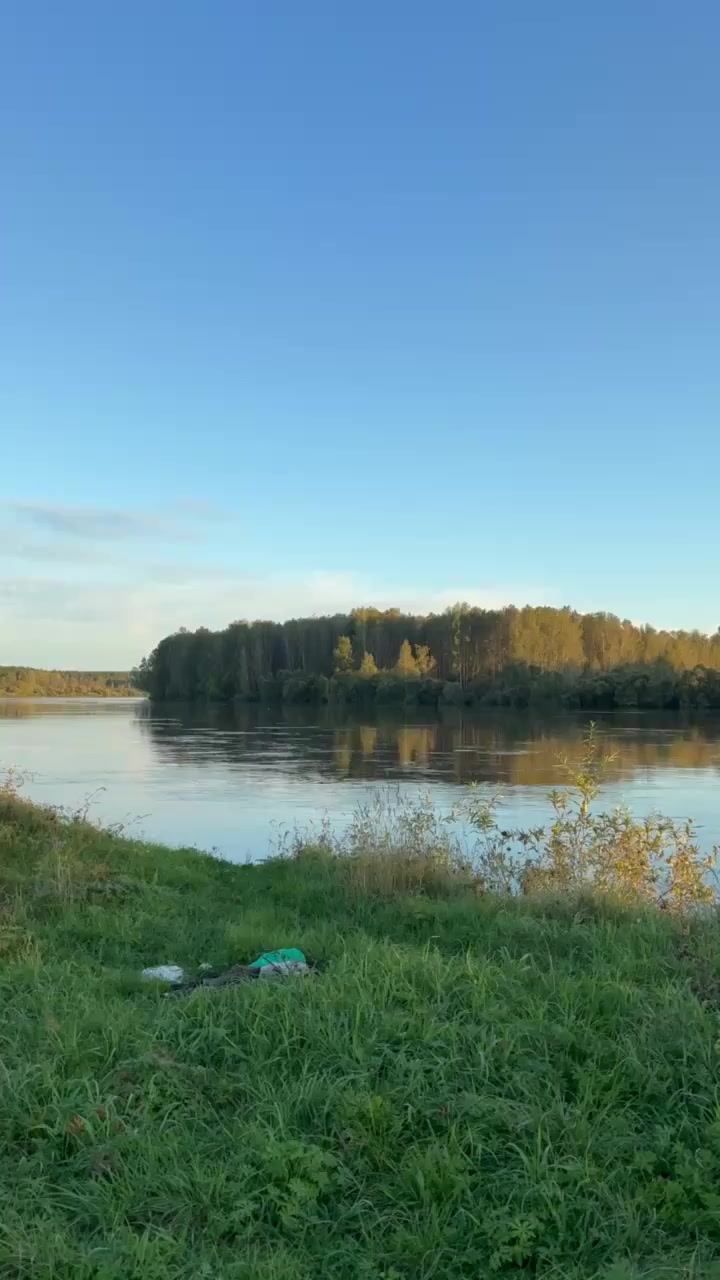 @Элодея