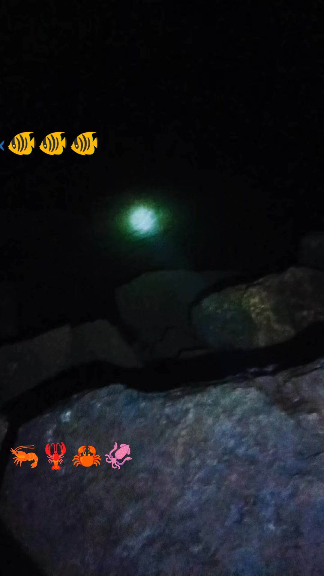 @Nasir Afridi