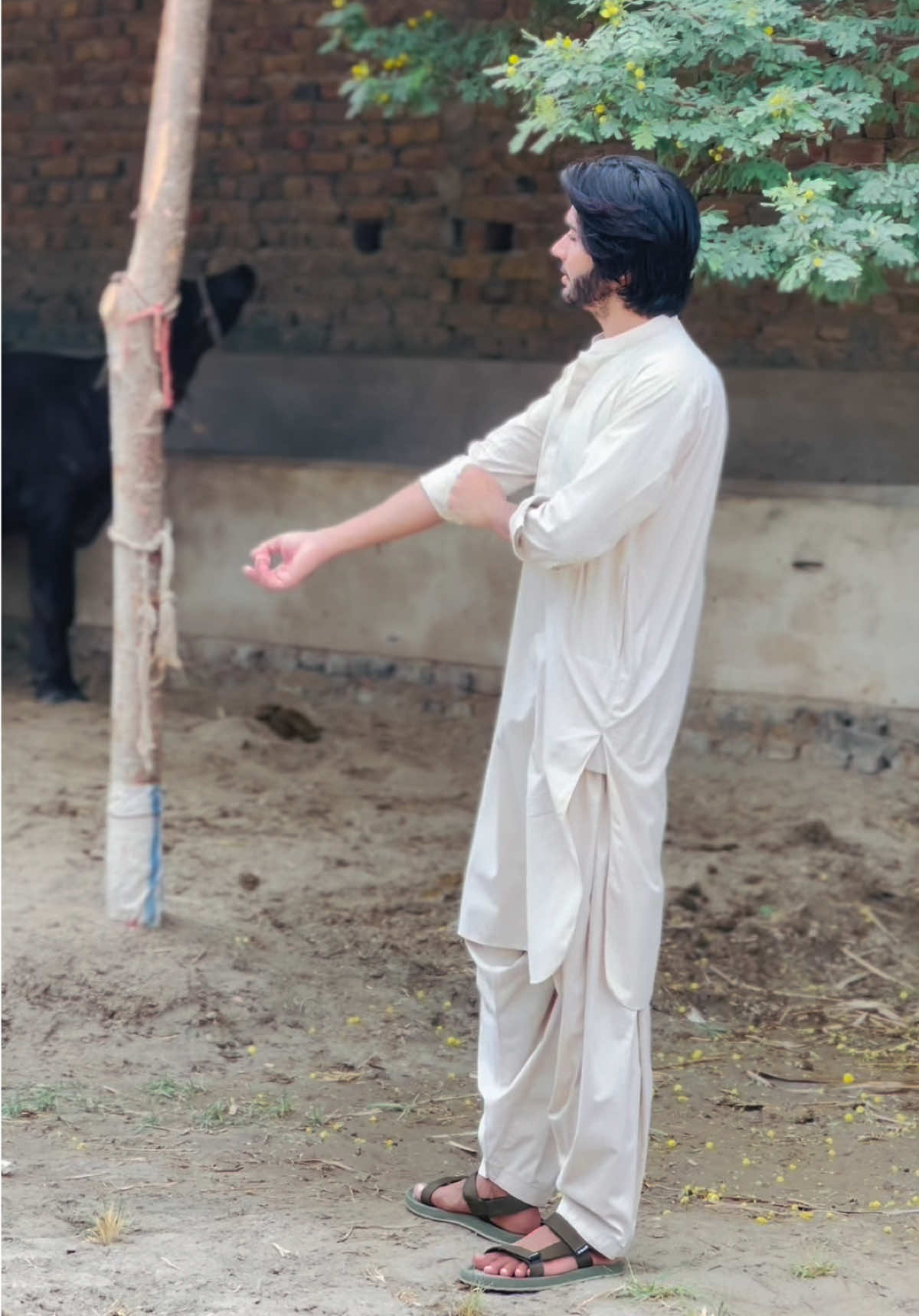 @Meer Siraj khan Jatoi 👑