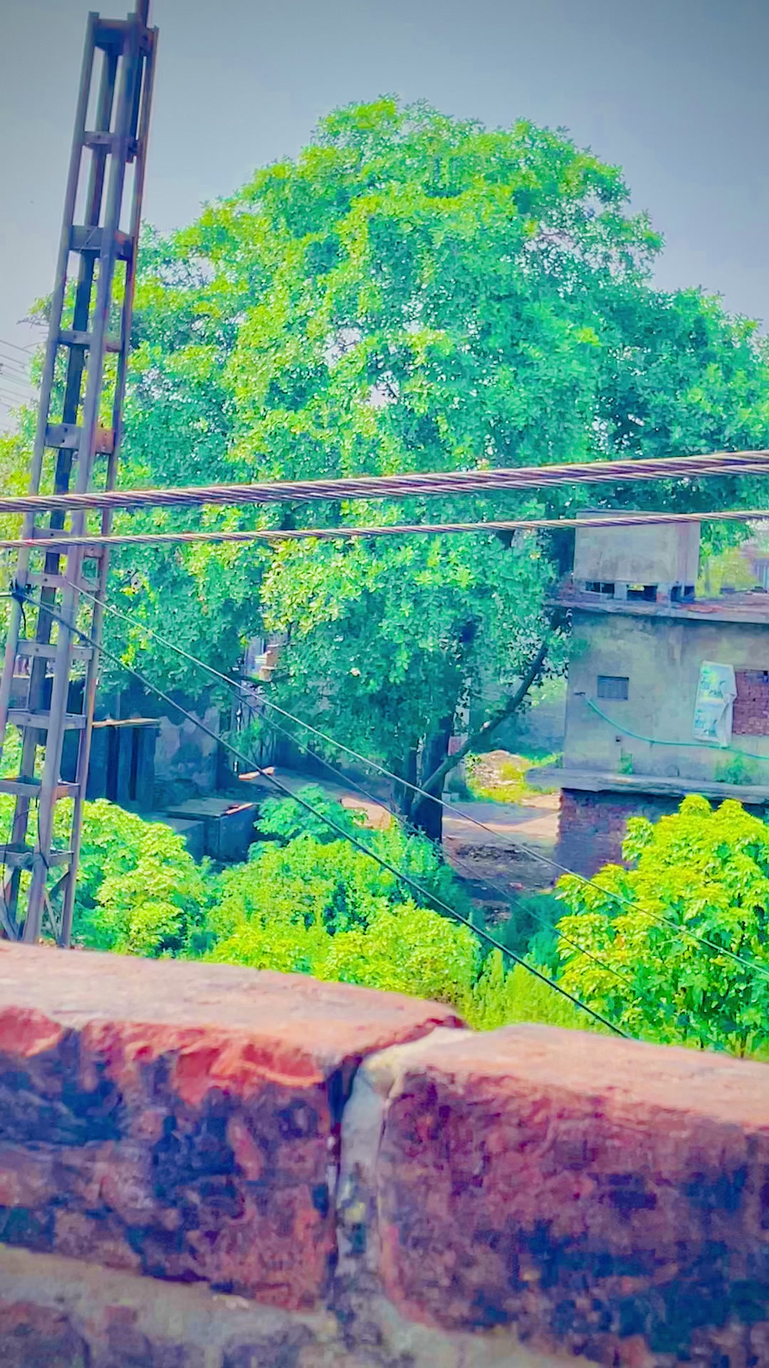 @Akhtarjaan335m