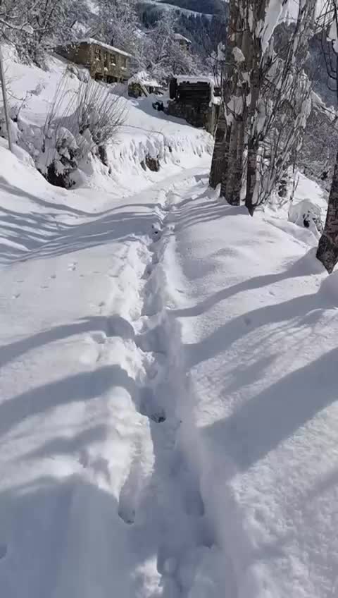 @ERENCAN4424