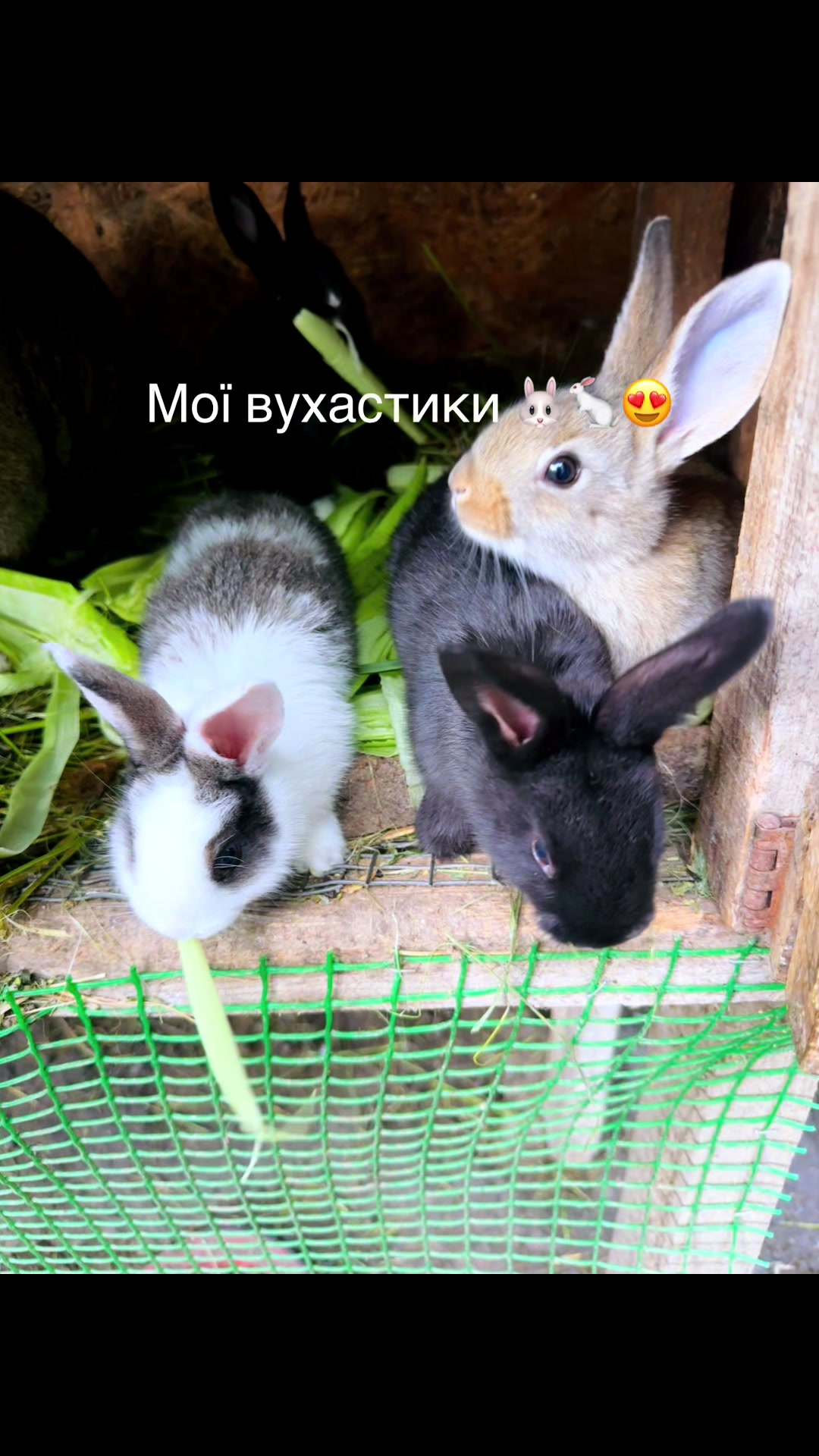 @Володимирівна 🌸❤️