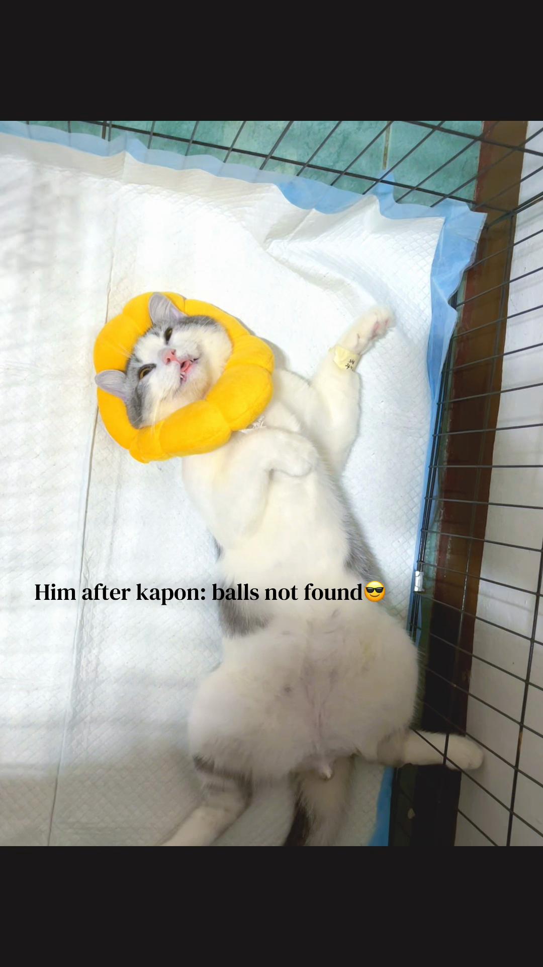 @Jas🦋