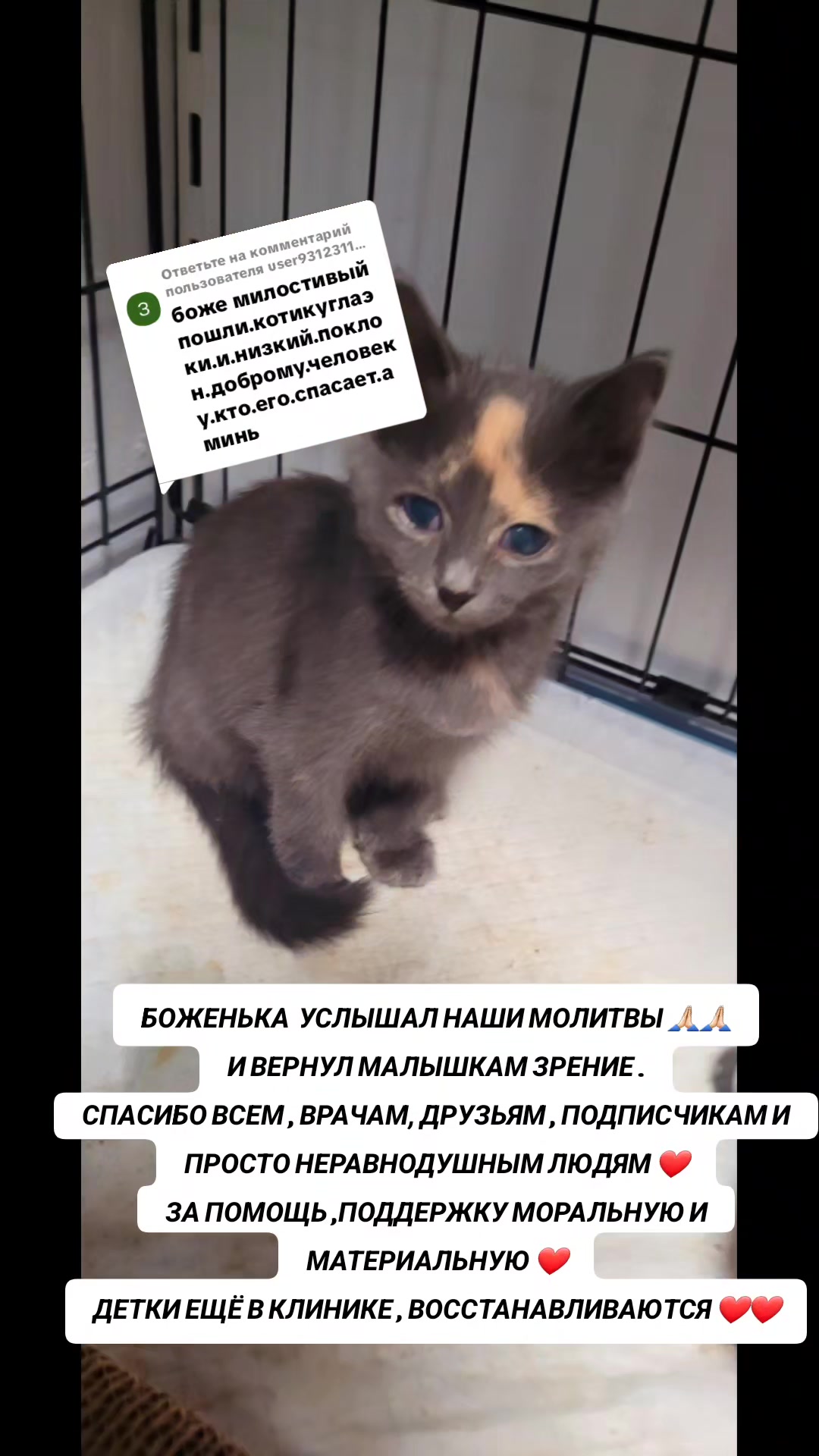 @marinka20_09