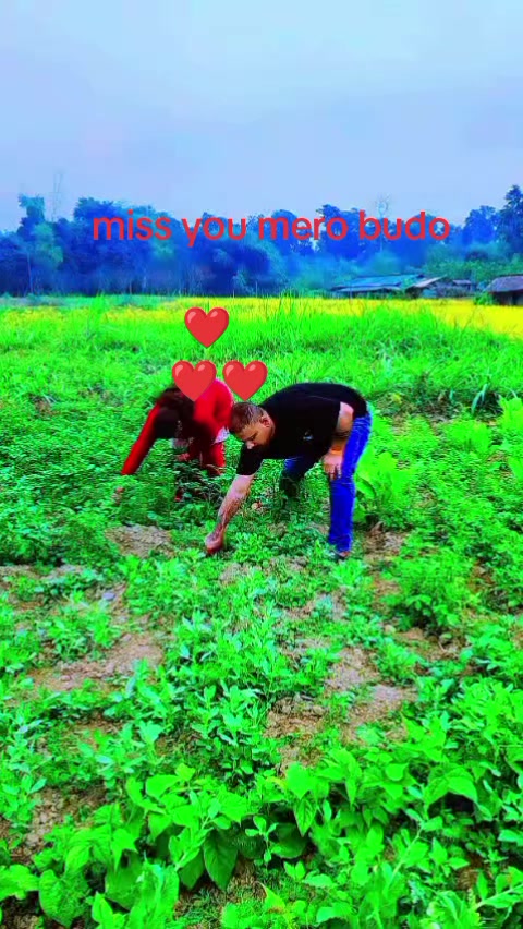 @tiwari Rita