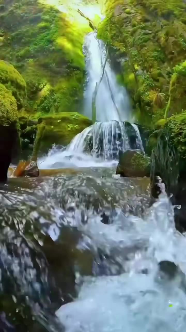 @User77