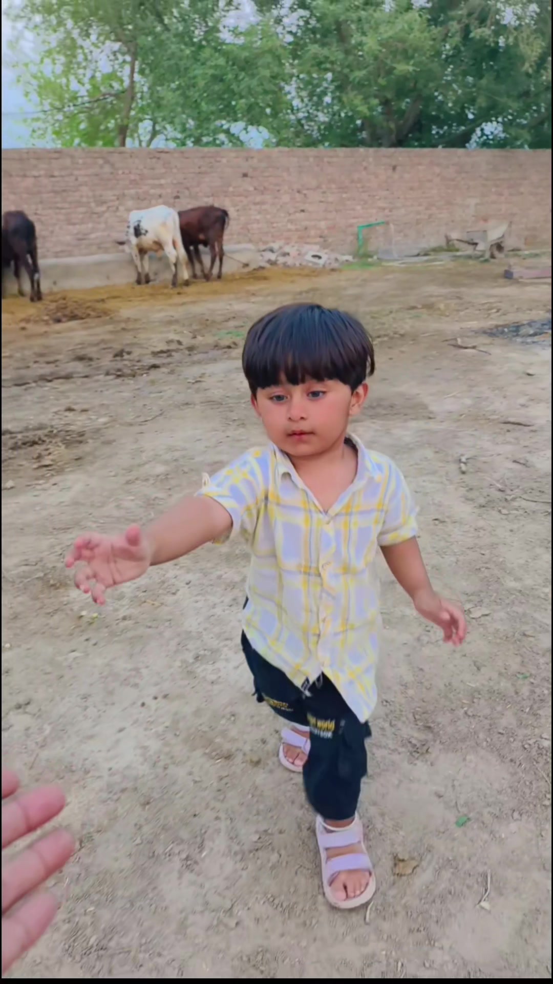 @ظفر عباس خان