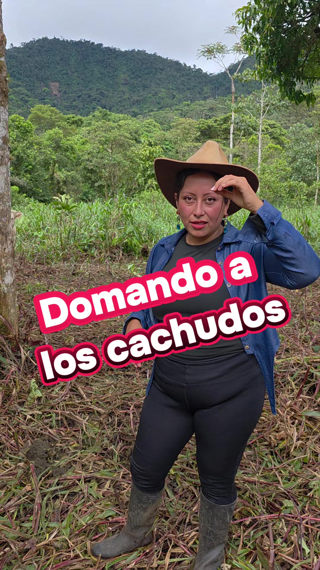 @luz