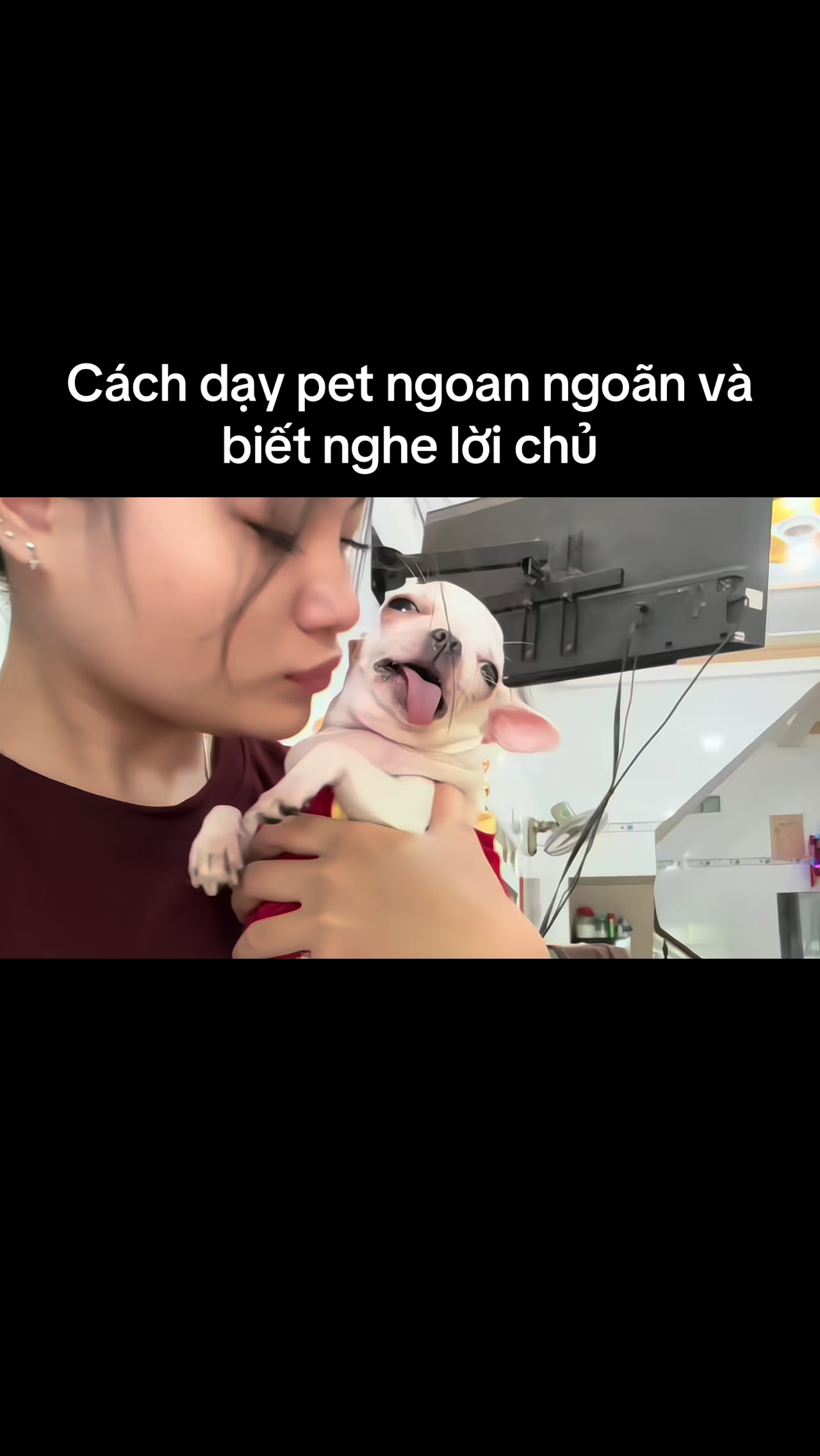 @L&uacute;n L&egrave;👽