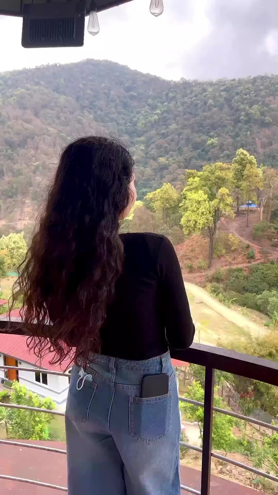 @🕊️