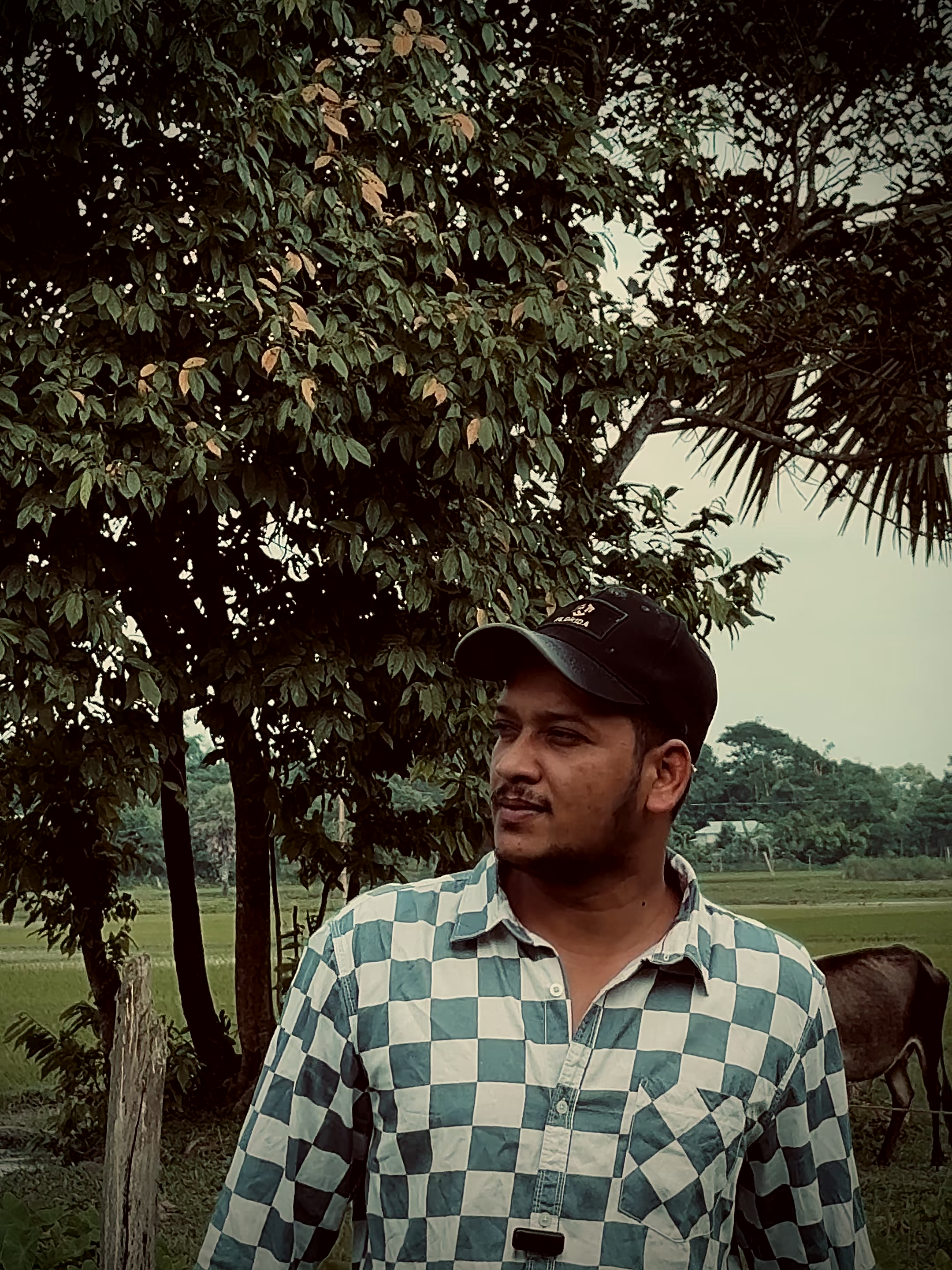 @S A O U N 4 4 8