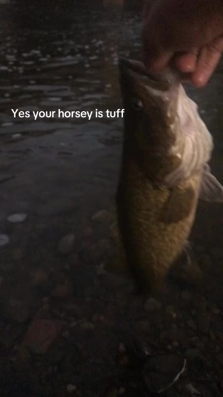 @coosti72