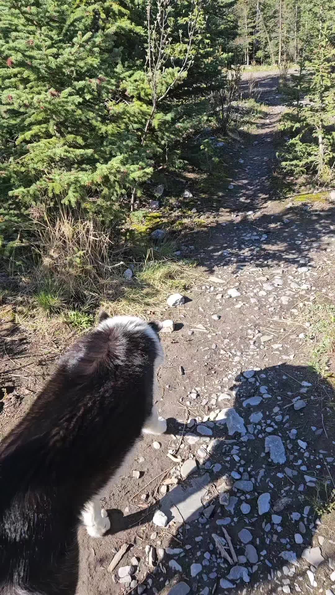 @Rocky Mountain Mom 🇨🇦
