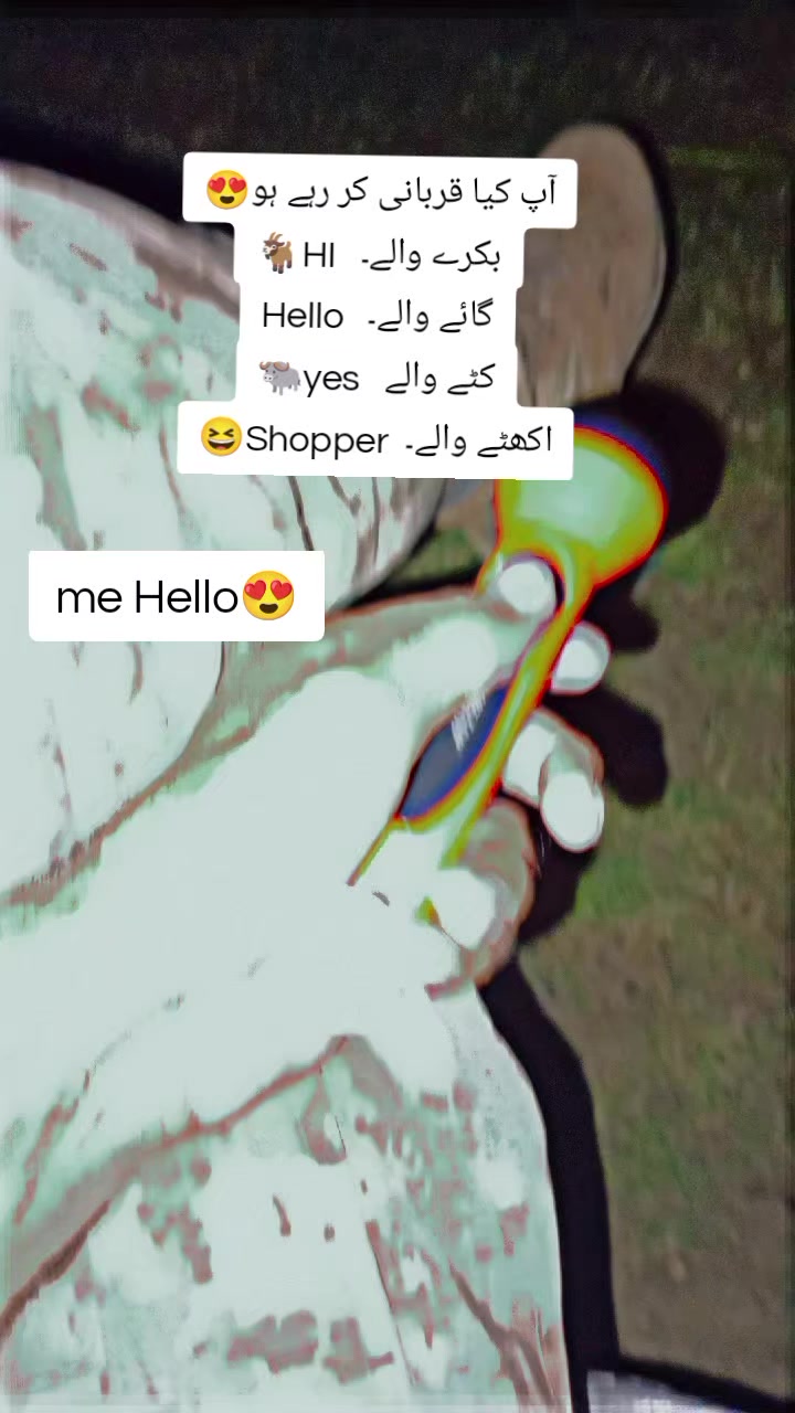 @hazaray da foji❤️🔥