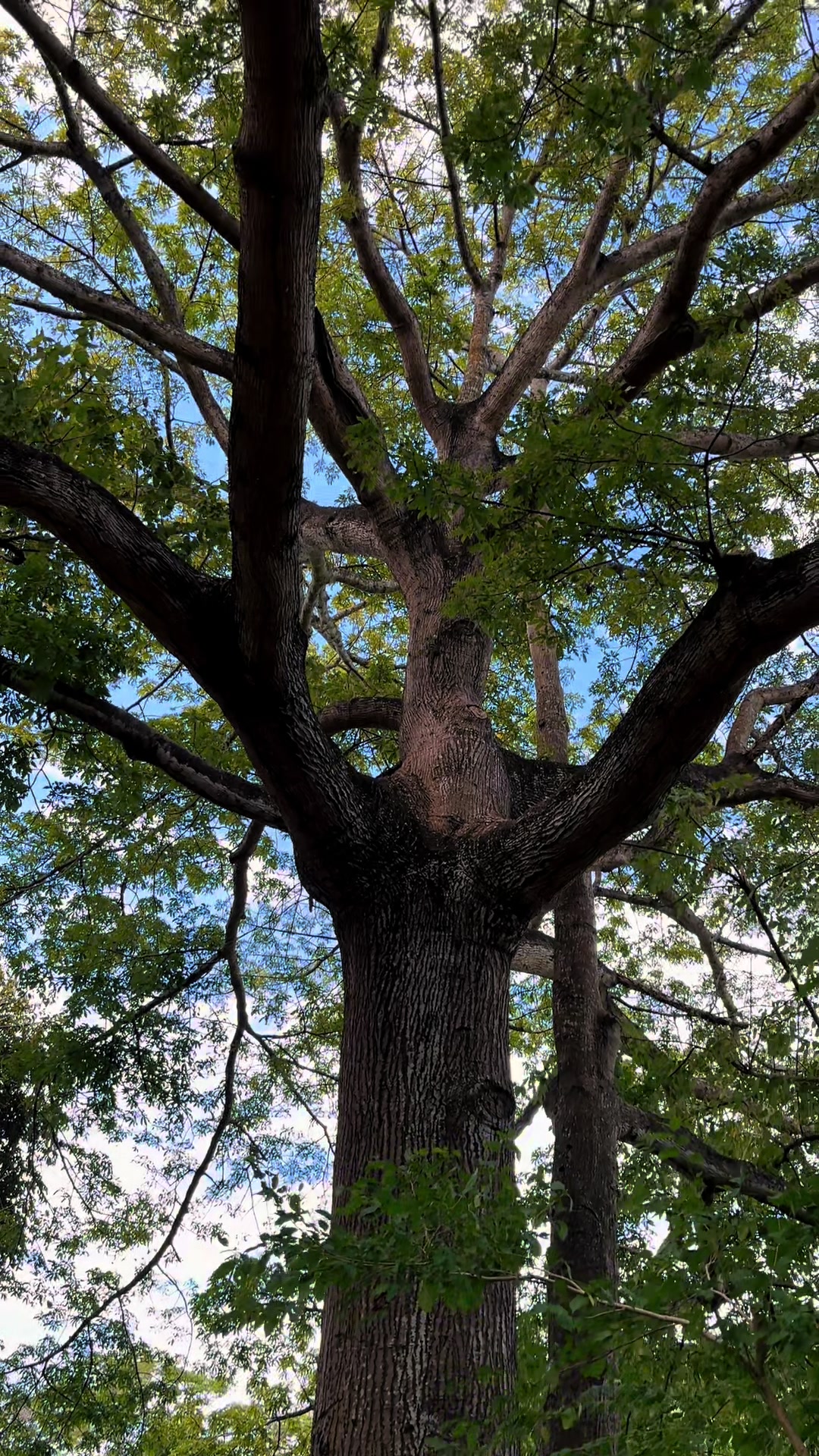 @DiegoJ-Naturaleza