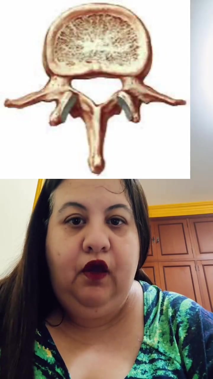 @anatomia virtual