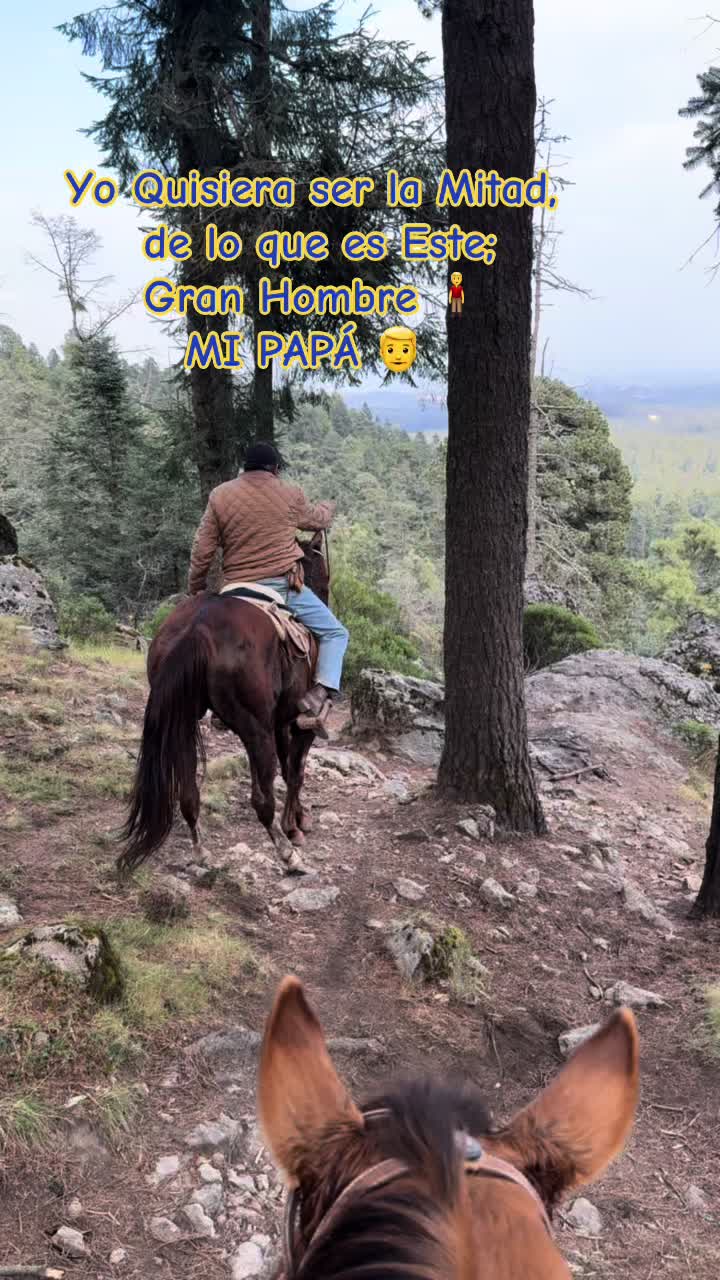 @Wily Jr 🤠