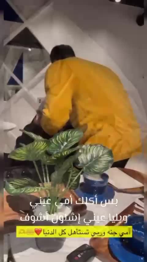 @Boashoor