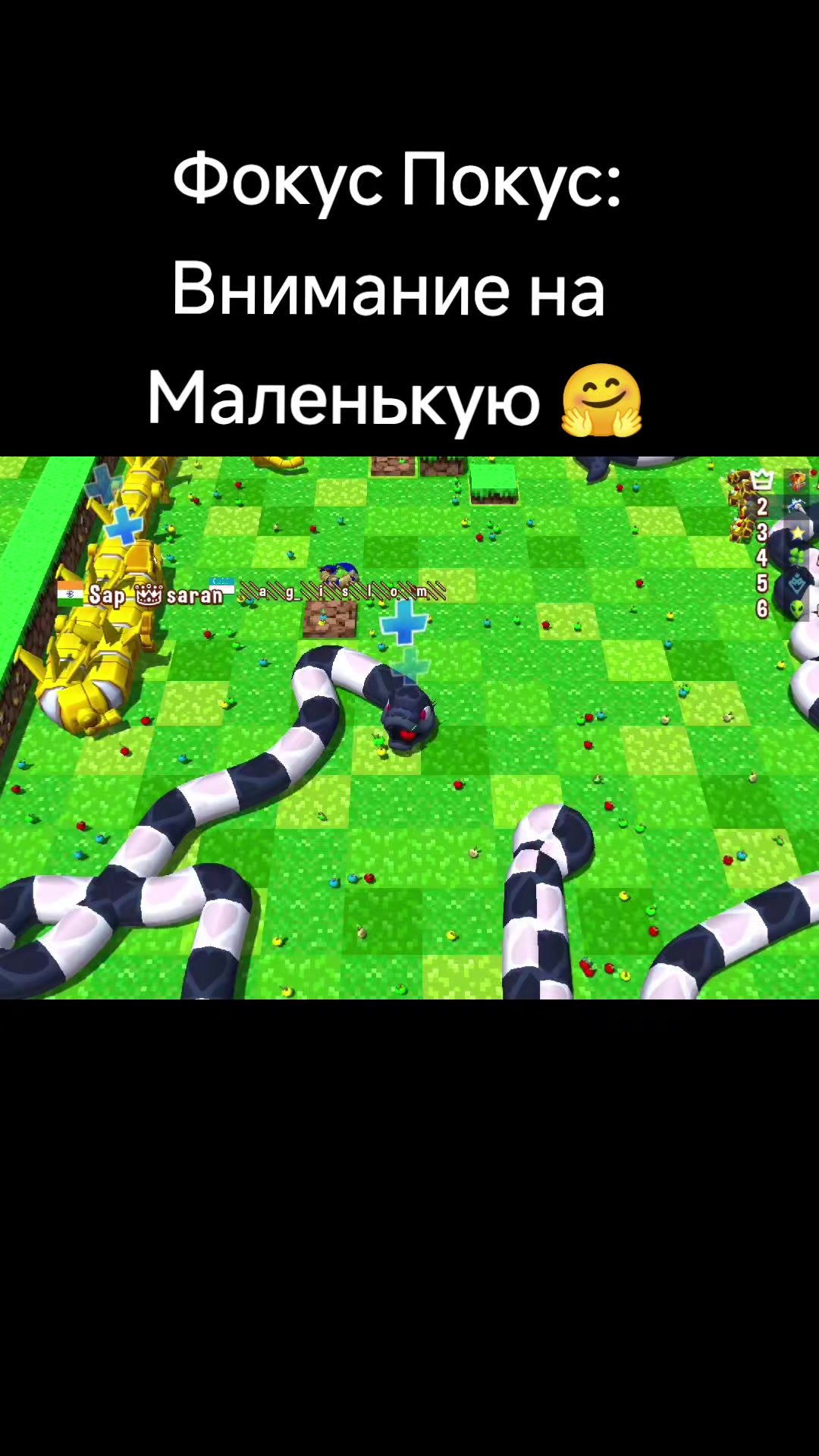 @kupit_slona_rek