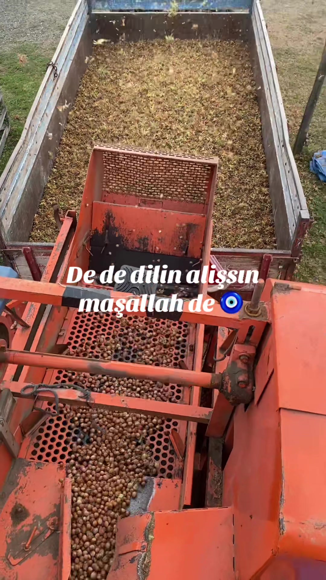 @TC _Aslan _Özcan