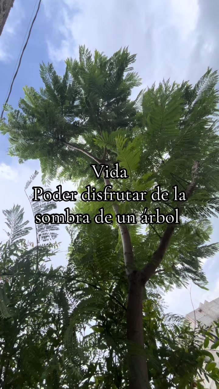 @Alma Gonz&aacute;lez