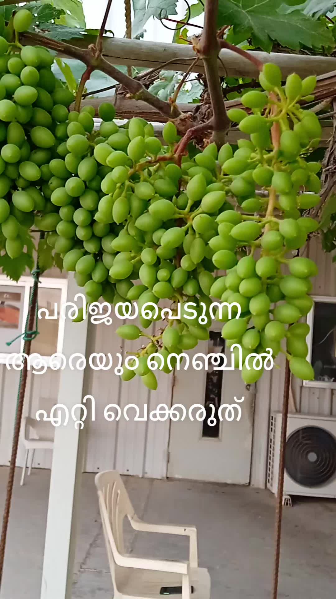 @THAHAMAJEED