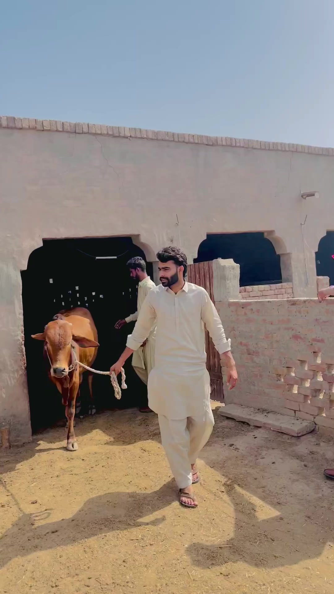 @Ubaid Bilal😎✌️