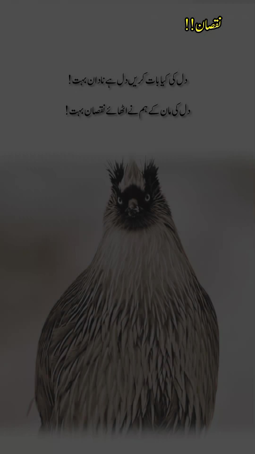 @درد دل
