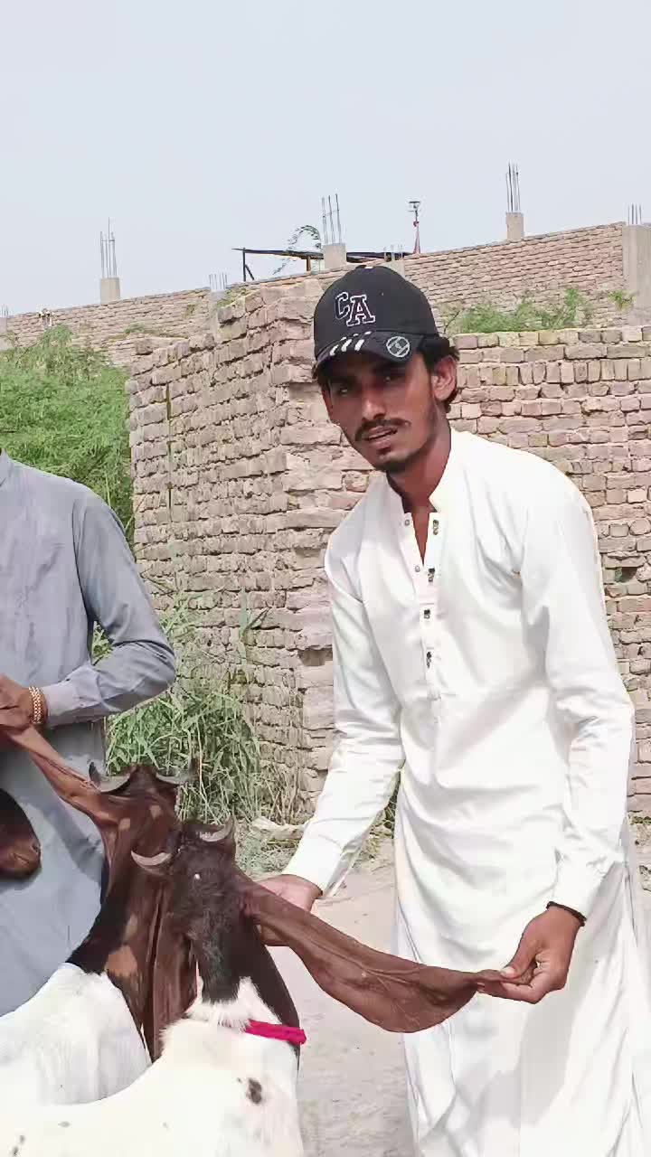 @✨.زاهد سولنگي واپاري. 🐐