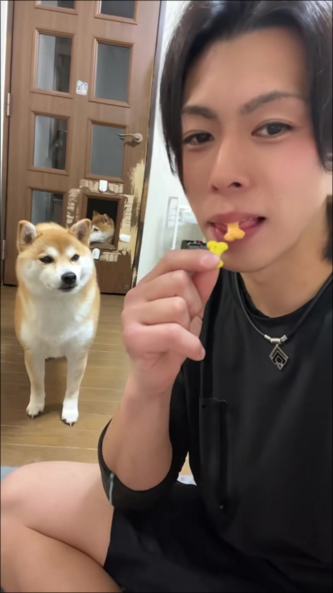 @ムックパパ🔶🐾
