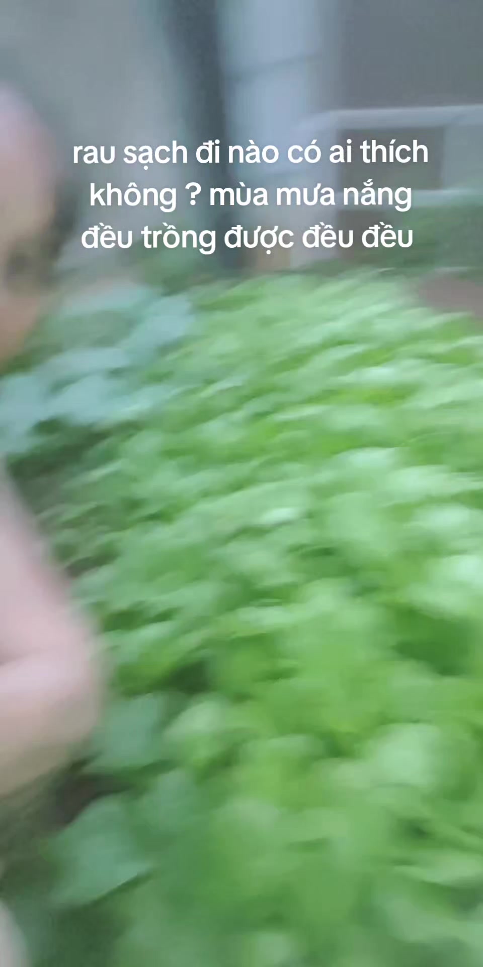 @THANH THƯƠNG