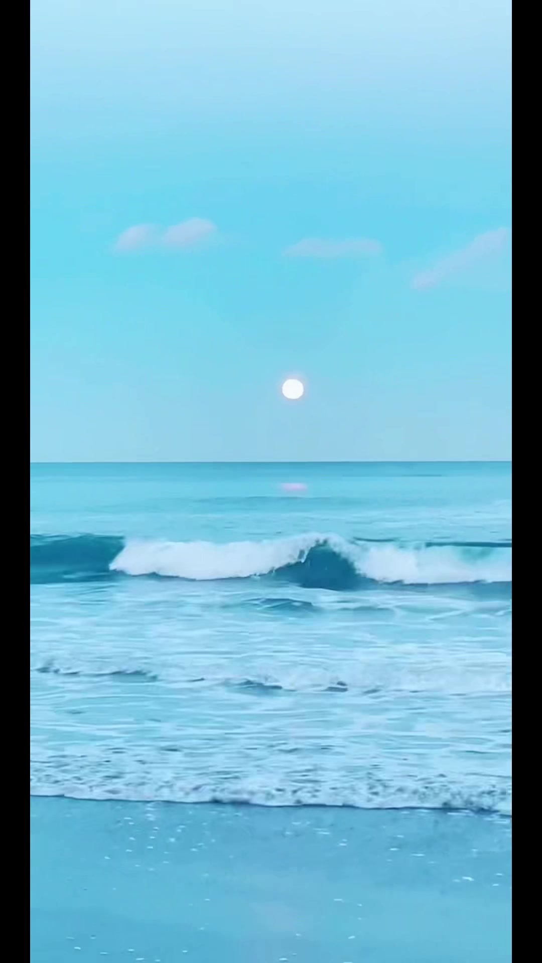 @Yoshi⛵️海の散歩⛱️