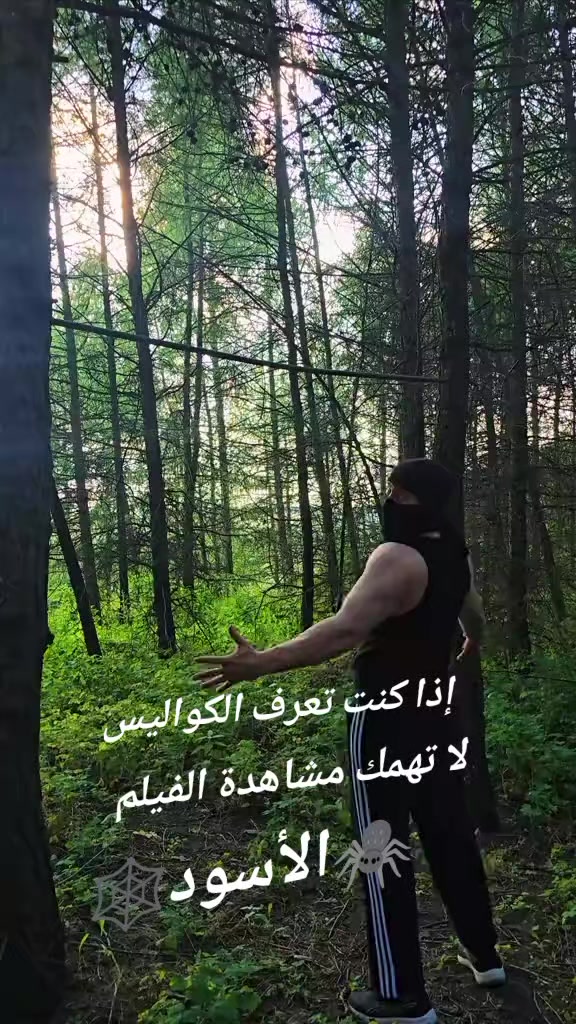 @🇩🇿العَ،نــكبوت الاسًود🕷️