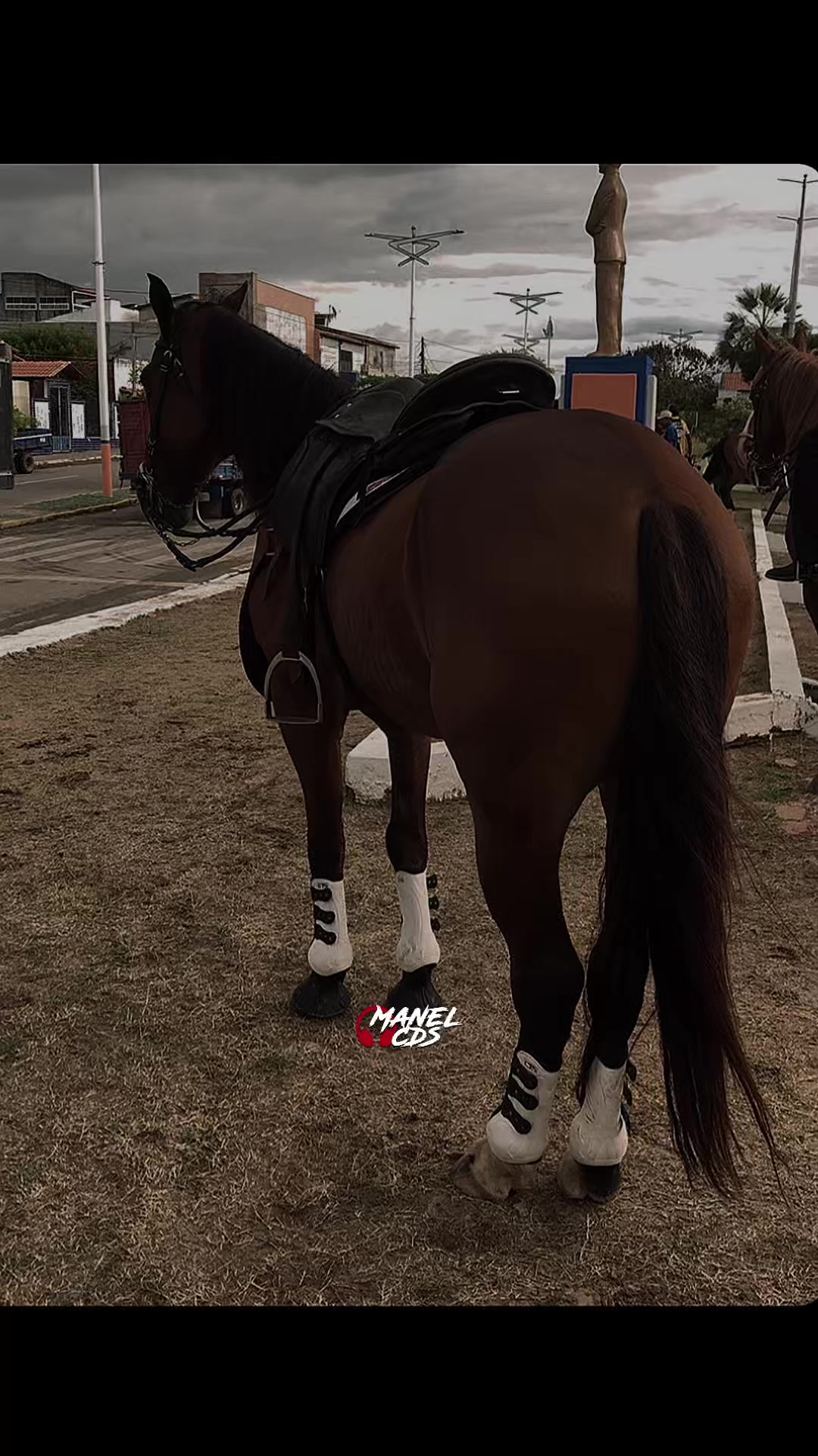 @forr&oacute; de vaquejada