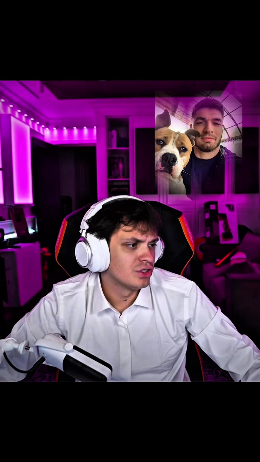 @clipterzy
